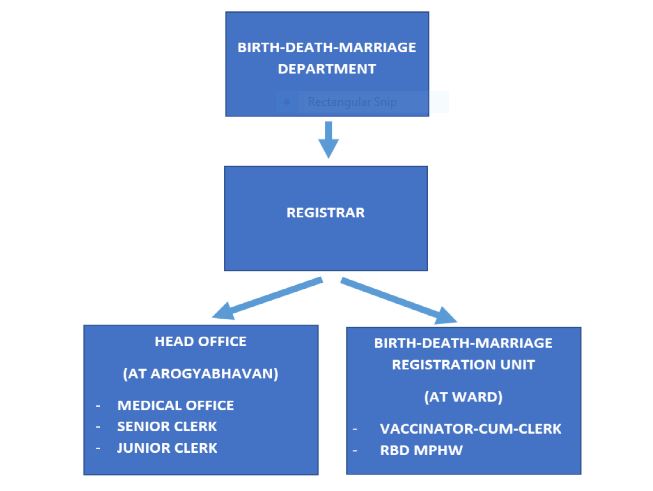 Birth_Death_Org_Structure